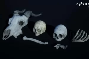 恶魔资产包 / 23 个网格（恶魔资产 法术雕像雕塑 3D 资产）-Demonic Assets Pack 23 Mesh