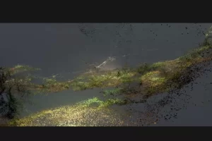 激光雷达点云插件-Niagara LiDAR Point Cloud Plugin