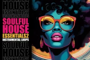 Loopoholics Soulful House Essentials 2音色包：复古灵魂浩室必备