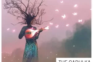 Concept Samples The Gadulka WAV：巴尔干传统弦乐音色库