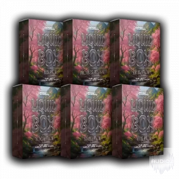 Noise Masters Liquid Box Drum & Bass Pack WAV MiDi FLP Serum Vital Presets-ARCADiA