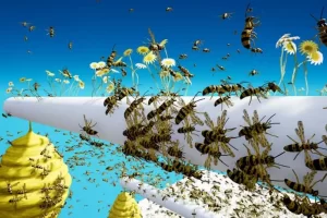 Advanced Fly Insects System 高级飞虫蜂群插件