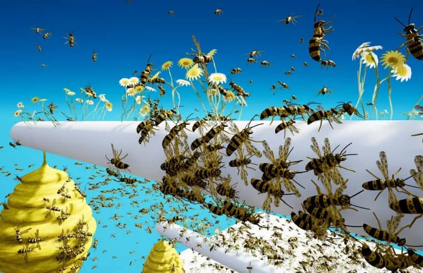 Advanced Fly Insects System 高级飞虫蜂群插件