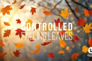 UE5落叶工具 – Falling Leaves Tool Controlled leaves for your Unreal engine 5 project