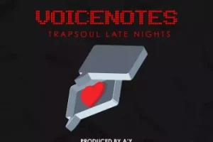Hrmny + Lab Voicenotes Trapsoul Late Nights 采样包，打造暗黑R&B旋律