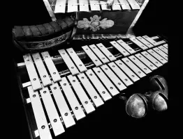 Triumph Audio Bars KONTAKT：打击乐音色库精选