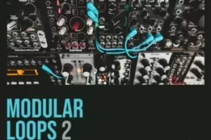 Shed Skin Records Modular Loops 2 WAV 模块化循环音色包