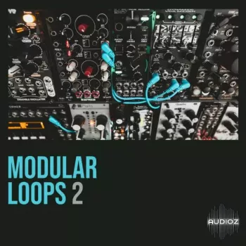 Shed Skin Records Shed Skin Records Modular Loops 2 WAV