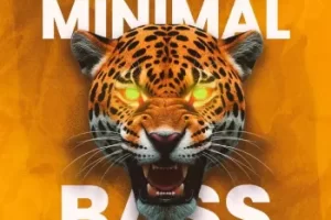 Minimal Bass Vol.2终极版：现代Tech House必备采样包