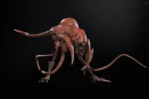 猛禽 Raptor