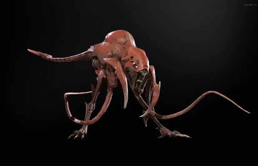 猛禽 Raptor