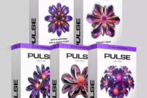 PULSE独立舞曲采样包：营造地下浩室氛围的必备音源