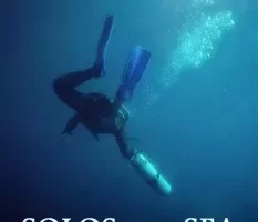 海洋独奏：小提琴B音色库，富有表现力的连奏与滑音