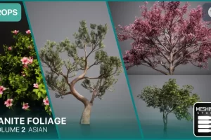 Nanite中式园林植物梅花松柏树灌木 Nanite Foliage Vol2 Asian