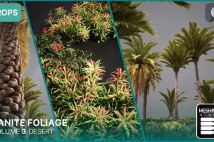 Nanite沙漠生物群落植物 Nanite Foliage Vol3 Desert