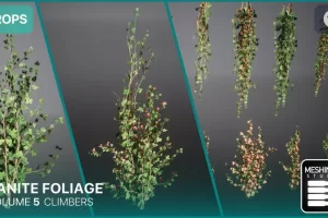 Nanite爬山虎藤蔓墙面植物模型 Nanite Foliage Vol5 Climbers