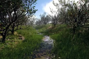 写实自然植物树木花草素材模型 Nanite Foliage V2