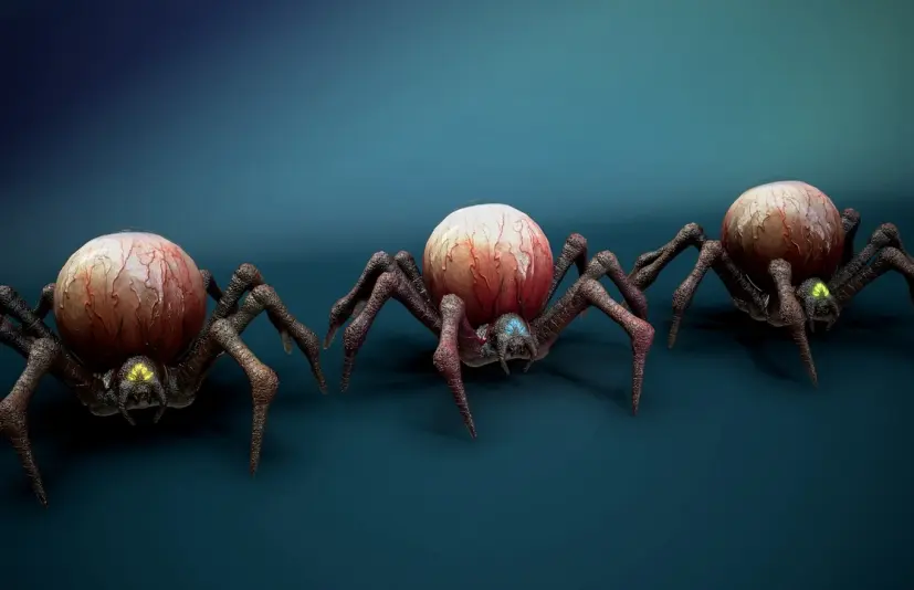 蜘蛛眼 Spide Eye