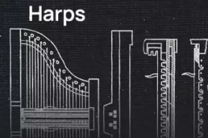 VSL Studio Harps for Synchron Player：仙境竖琴音色库