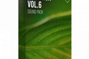 Organica Vol.6：融合复古与前卫的有机节奏音色库