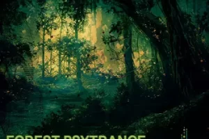 TERRATECH森林Psytrance采样包Vol.1：90种高品质音效灵感