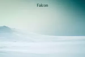 Triple Spiral Audio Northern Lands for Falcon：北欧神话神秘音源库