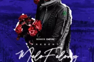Sonics Empire Melofelony：融合非洲与Drill的独特采样包
