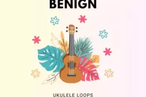 尤克里里和弦循环音色包Benign，为音乐制作人提供灵感