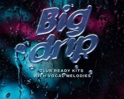 Tempo Audio Group Big Drip 音色包：打造俱乐部热门歌曲必备