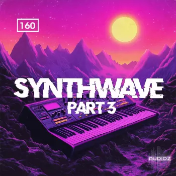 Bingoshakerz Synthwave 3 WAV MiDi REX-FANTASTiC