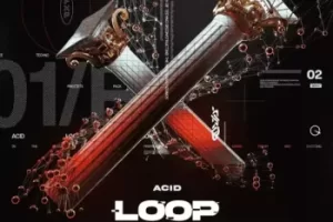 Teknovault Acid Loop Expansion Vol. 1 WAV MiDi 音色包