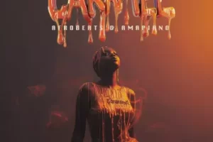 Smemo Sounds Caramel：Afrobeats与Amapiano全能采样包