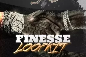 Empire Soundkits Finesse Loop Kit 采样包：专业旋律循环与分轨资源