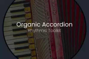 Ocean Radio Station手风琴采样包：Organic Accordion全能音源下载