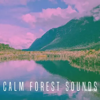 Rest and Relax Nature Sounds Calm Forest Sounds FLAC-FANTASTiC