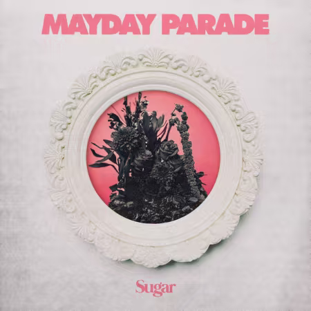 Mayday Parade《Sugar》2026：二十周年三部曲终章，流行朋克温暖回归