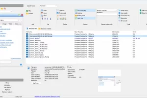 Advanced Renamer 4.24 批量重命名工具，高效管理文件