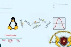 ChIP-seq数据分析实战：从QC到峰注释的Linux教程