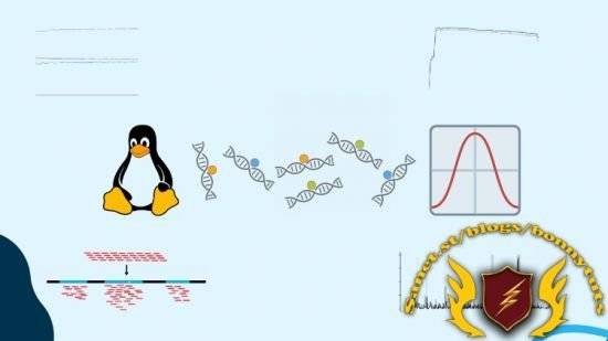 Learn ChIP-seq Data Analysis Using bioinfo Linux Pipeline