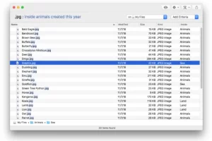 ProFind 1.40 Mac版-高效文件搜索与管理的专业工具