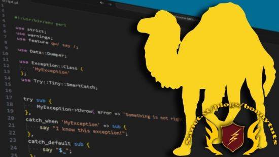 Perl Programming: Understanding The Basics [2024]
