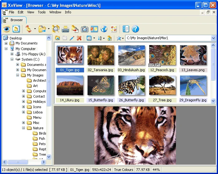 XnView 2.52.7 Complete Multilingual