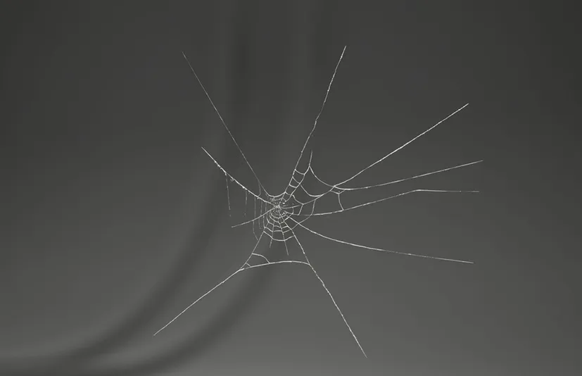 游戏高品质蜘蛛网模型道具 - MAE Cobweb Collection 01