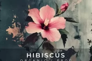 Zenhiser Hibiscus:融合有机与渐进元素的WAV采样包