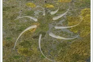 Rubicon Biopoiesis WAV:乌拉圭田野录音与声音设计的生物合成
