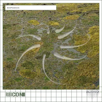 Rubicon Biopoiesis WAV-FANTASTiC