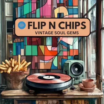 Soundsmiths Flip N Chips Vintage Soul Gems WAV-FANTASTiC