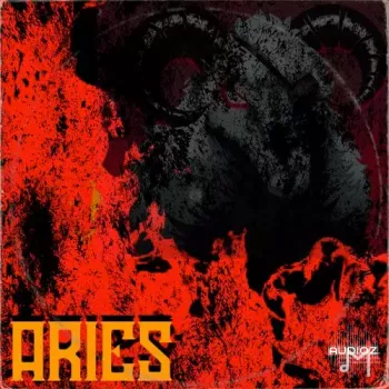 Major Loops Aries WAV-FANTASTiC