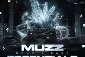 MUZZ 鼓打贝斯精华采样包:传奇制作人官方音色全集