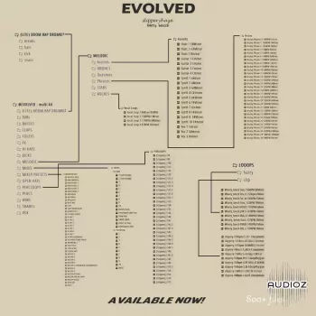 Slipperyhaze EVOLVED Multi-Kit WAV MiDi FST-FANTASTiC